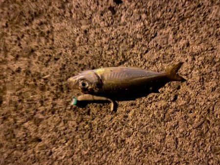 深夜のライトゲーム