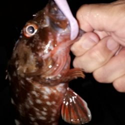 ボートアジング