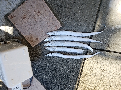 んーまだまだ渋い。