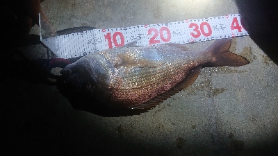 久しぶりの雨上がり