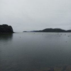 室津のキス釣り