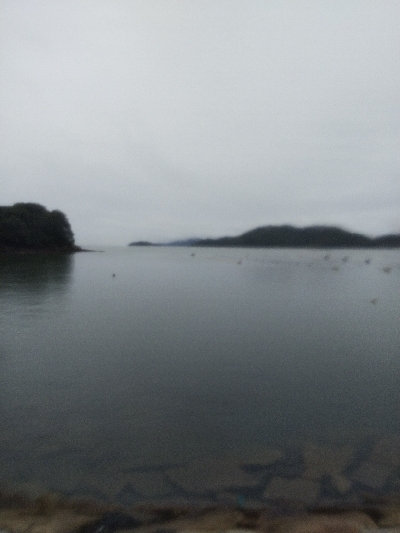 室津のキス釣り