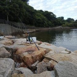 室津のキス釣り