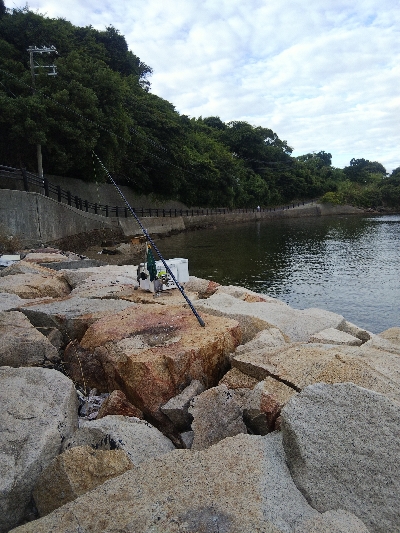室津のキス釣り