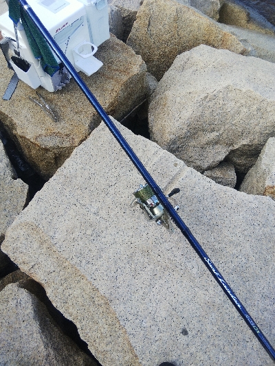 室津のキス釣り