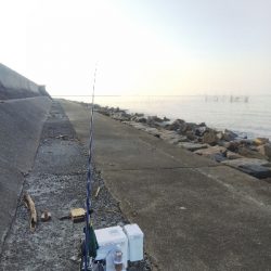 苅屋のキス釣り