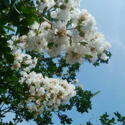 『釣りデビュー(´▽`)』213