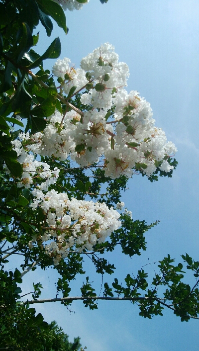 『釣りデビュー(´▽`)』213