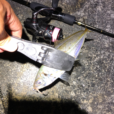 2021 佐渡ヶ島ライトゲーム