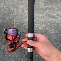 まさかの初ショアレッド！