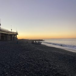 弓角釣れました。