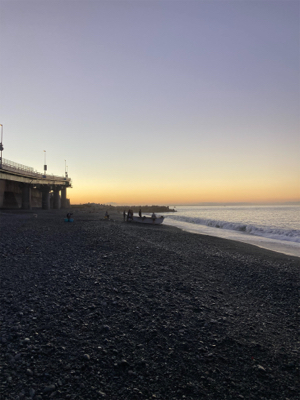 弓角釣れました。
