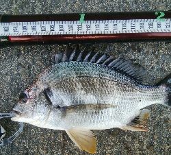 『釣りデビュー♡』217