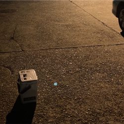 シリヤケ掛けた!魚釣果は坊主。