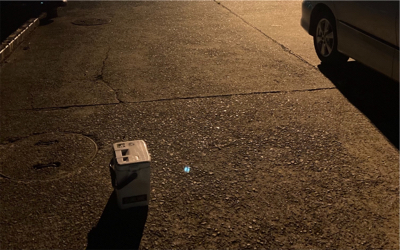 シリヤケ掛けた!魚釣果は坊主。