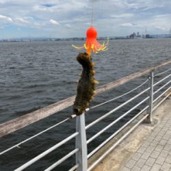 強風＆潮流に泣かされ何とか3杯。。。