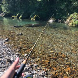 釣りキャン&ネイティブトラウト