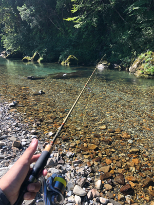 釣りキャン&ネイティブトラウト