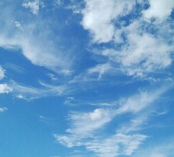 『釣りデビュー♬♬♬』219