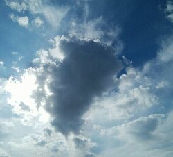 『釣りデビュー(^o^』220