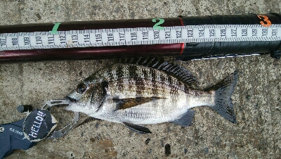 『釣りデビュー♬♬♬』221