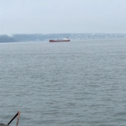 朝活！ライトショア！！