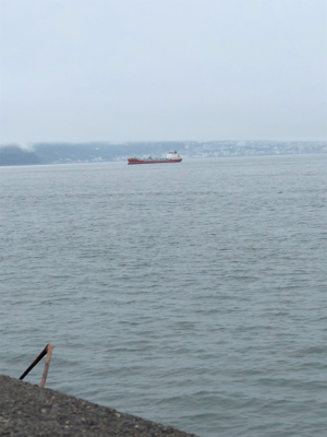 朝活！ライトショア！！