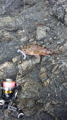 あの手この手で