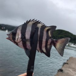 穴釣り
