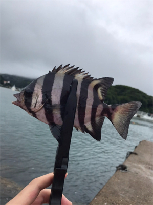 穴釣り