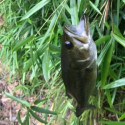 雨できつかった