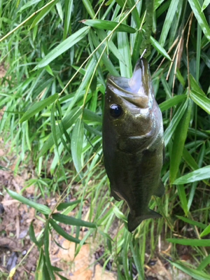 雨できつかった
