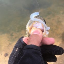 真昼間の布目ダム