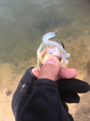 真昼間の布目ダム