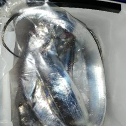 太刀魚テンヤ@貝塚