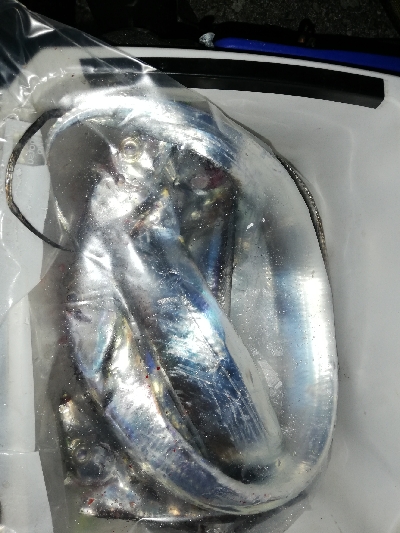 太刀魚テンヤ@貝塚