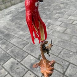 やっと、晴れ間が!