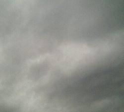 『釣りデビュー(^_-)』227日目