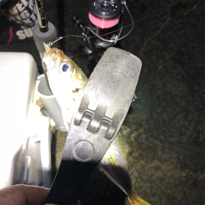 2021 佐渡ヶ島ライトゲーム