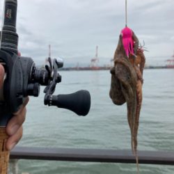 雨&強烈水潮。何とか仔蛸5杯。。