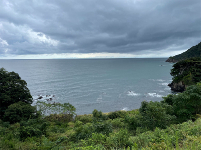 通行止めからの漁港釣行