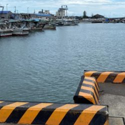 投げ釣り、アジング