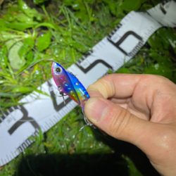 メタルバイブでシーバス