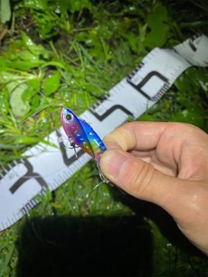 メタルバイブでシーバス