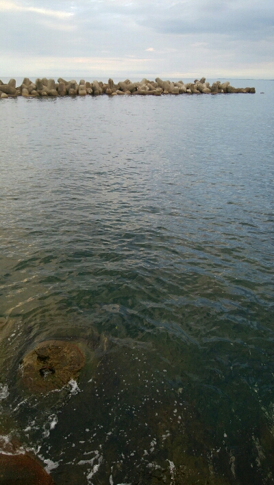 キジハタ4匹、ソイ1匹！