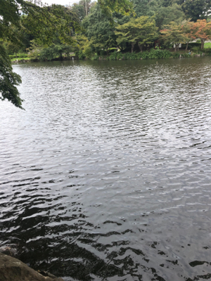 家族でクチボソ