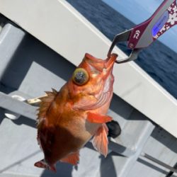 中深海スロージギング