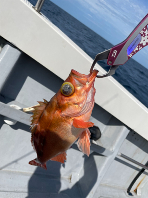 中深海スロージギング