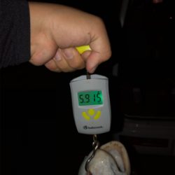 初ぶっ込み釣りでまさかの大物！