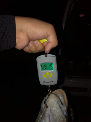 初ぶっ込み釣りでまさかの大物！